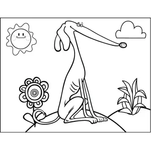 Happy Greyhound coloring page