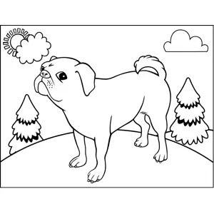 Proud Bull Terrier coloring page