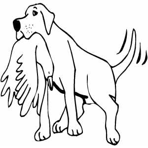 Retriever With Bird coloring page