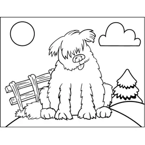 Shaggy Sheep Dog coloring page