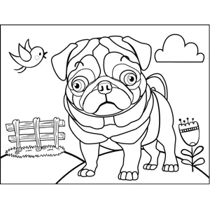 Surprised Pug coloring page