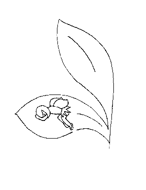 Fairy Sleeping on a Leaf Coloring Page