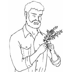 Man With Rosemary coloring page