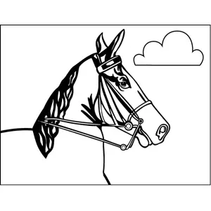 Horse Close-Up coloring page