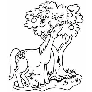 Horse Eating Apples coloring page