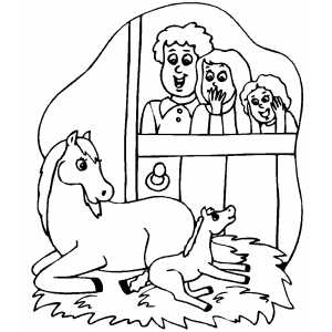 Horse Giving Birth coloring page