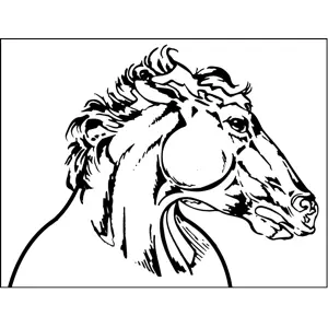 Horse Profile coloring page