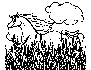 Horse in the Field Coloring Page
