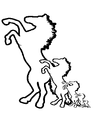 Horses Dancing Coloring Page