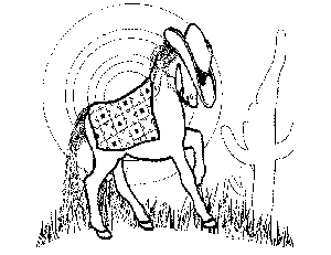 Ranch Pony Coloring Page