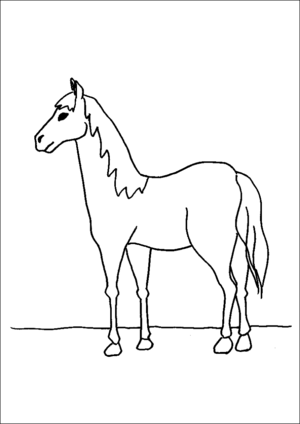 Standing Horse coloring page