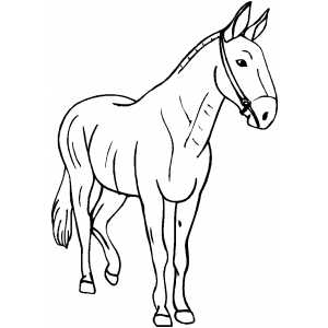 Walking Horse coloring page