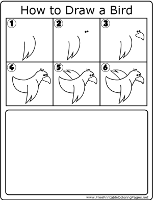 How to Draw Basic Bird coloring page