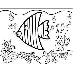 Angel Fish coloring page