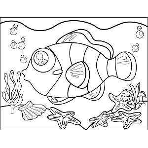 Clown Fish coloring page