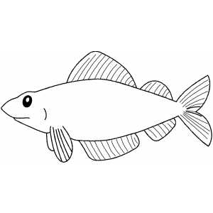 Fish With Fins coloring page