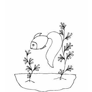 Gold Fish Smelling Seaweed coloring page