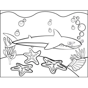 Grinning Shark coloring page
