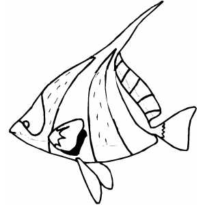Sad Fish coloring page