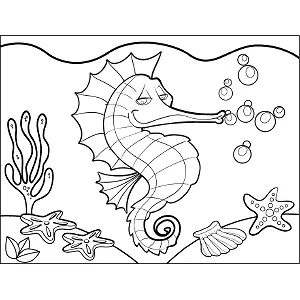 Sea Horse Bubbles coloring page