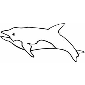 Swimming Dolphin coloring page