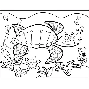Turtle Bubbles coloring page