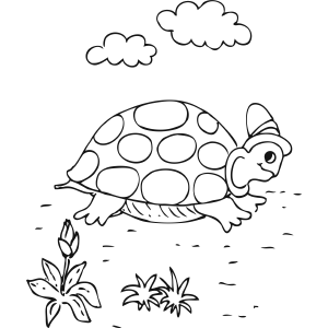 Turtle in Hat coloring page