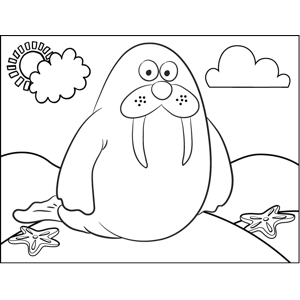 Walrus coloring page