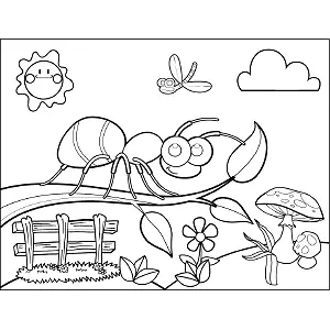 Ant on Branch coloring page