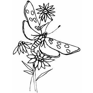 Butterfly Among The Flowers coloring page