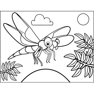 Flying Dragonfly coloring page