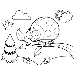 Ladybug on Branch coloring page