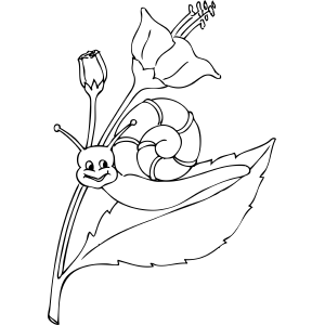 Snail on Flower coloring page