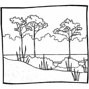 Bay Over The Forest coloring page