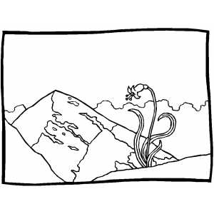 Mountain With Flower coloring page