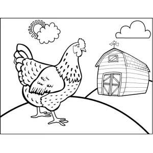 Chicken on Farm coloring page