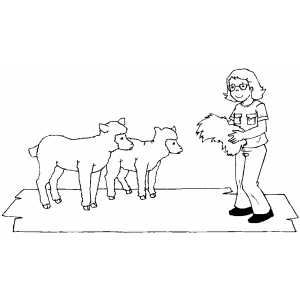Girl Feeding Lambs coloring page