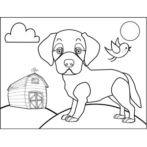 Puppy on Farm coloring page