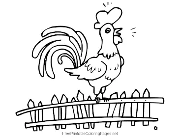 Rooster_Crowing coloring page