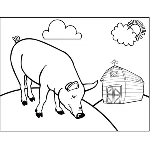 Rooting Pig coloring page