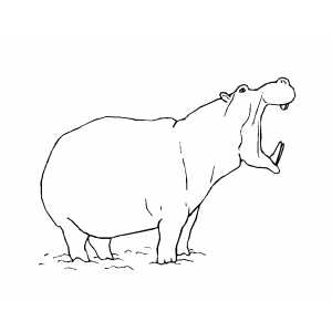 Angry Hippo coloring page
