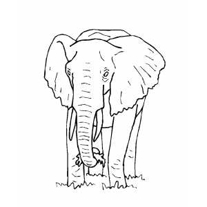 Big Eating Elephant coloring page