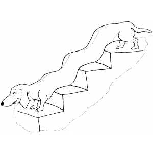 Dachshund On Stairs coloring page