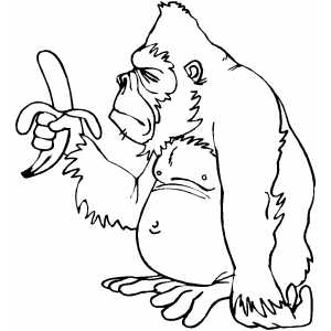 Gorilla With Banana coloring page