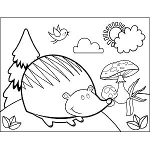 Happy Hedgehog coloring page