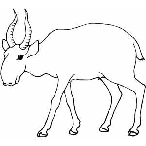 Inviting Antelope coloring page