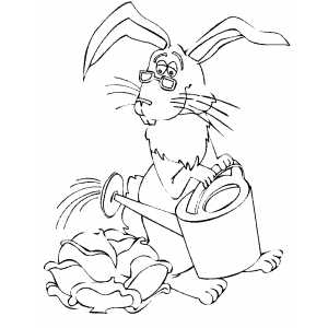 Rabbit Watering Cabbage coloring page