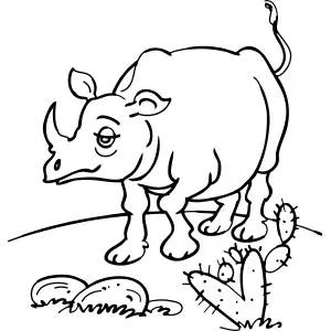 Rhino with Cactus coloring page