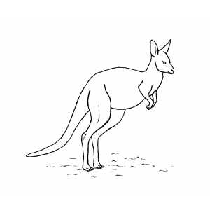 Running Kangaroo coloring page