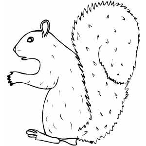 Scared Squirrel coloring page
